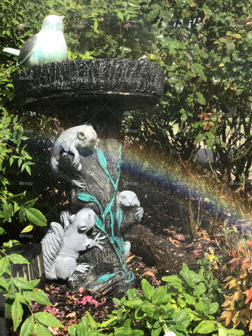 Rainbow After The Rain