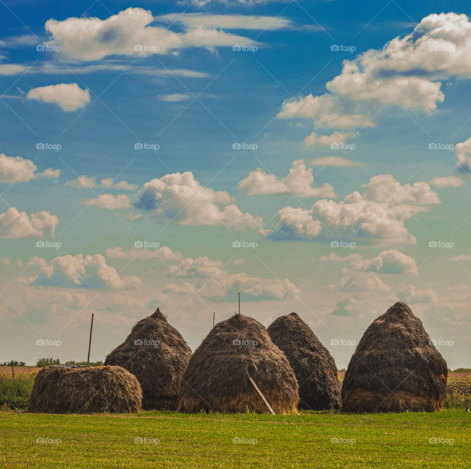 The nature can heal your soul, and make the world a perfect place. Take care of yourself!