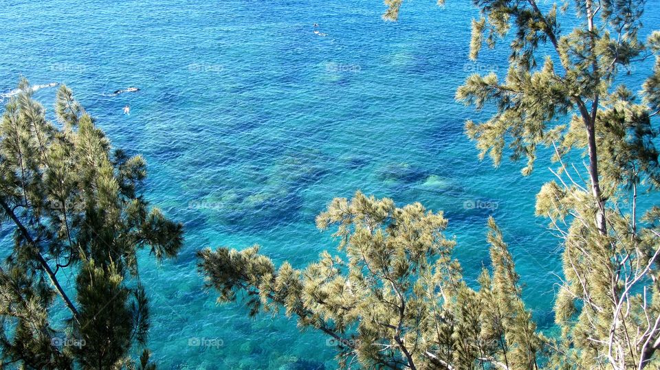 Honolua bay