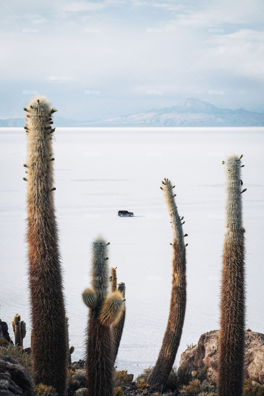 What a crazy landscape, a cactus island in the middle of a sea of salt with a volcano in the background...not even in my wildest dreams I would've pictured a place like this