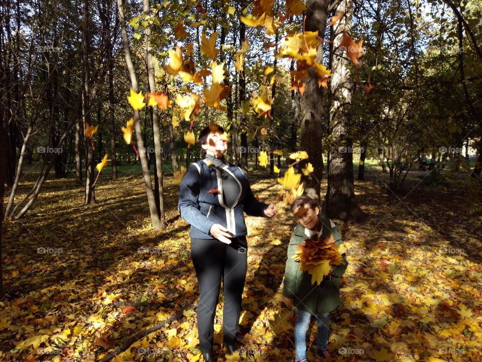yellow leaves spinning