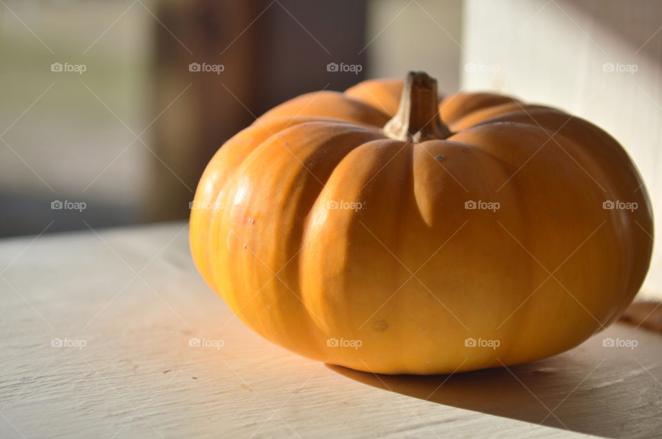 A lone pumpkin hanging out serenely on the sill