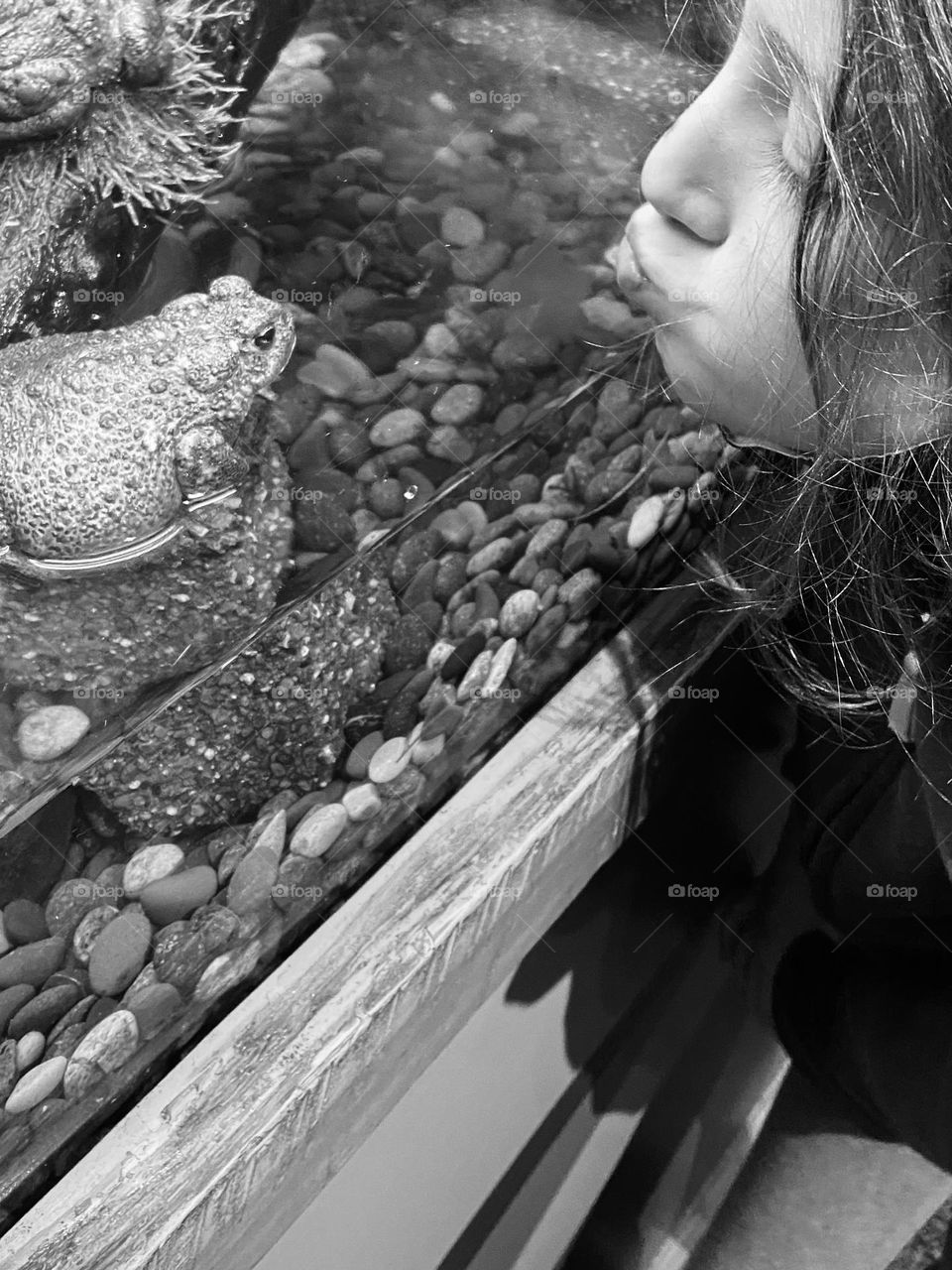 Black and white of a young girl trying to make her fairytale wish of kissing a frog who turns to a prince come true.