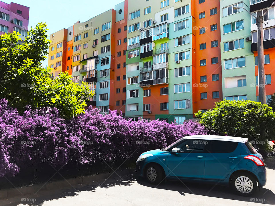 Blue car standing nearby blooming bush and beautiful Colorful building, modern neighborhood concept 
