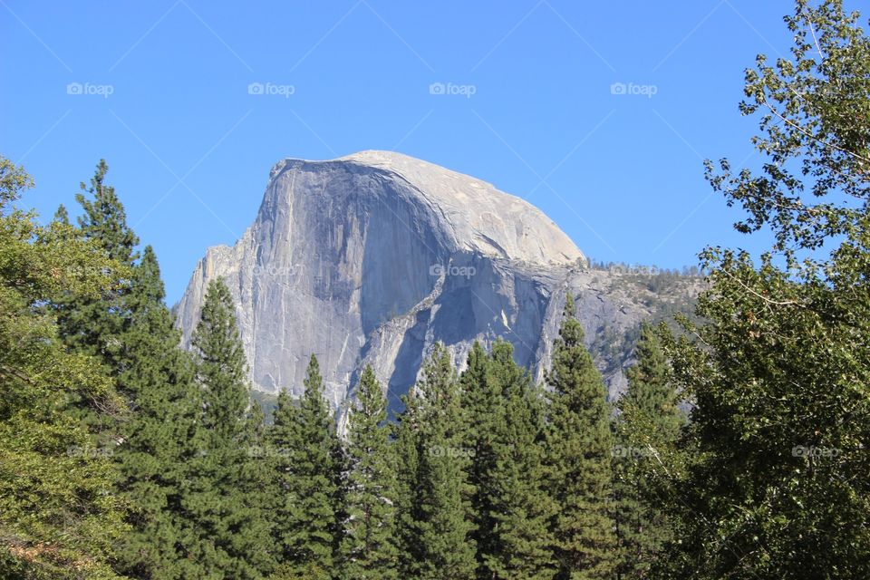 El capitan in Yosemite