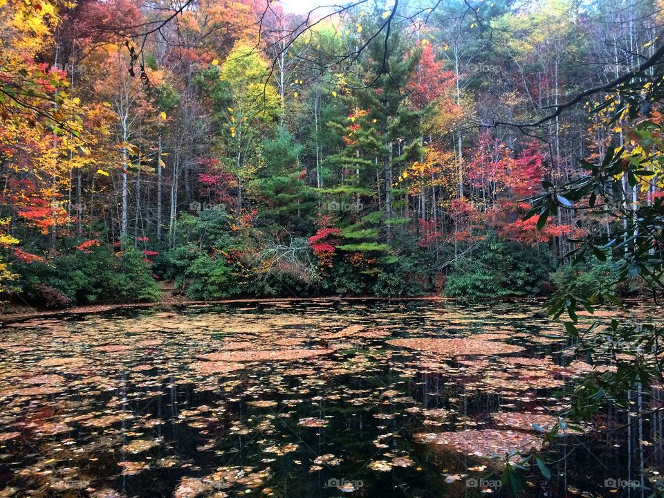 Serine lake with beautiful colors. 