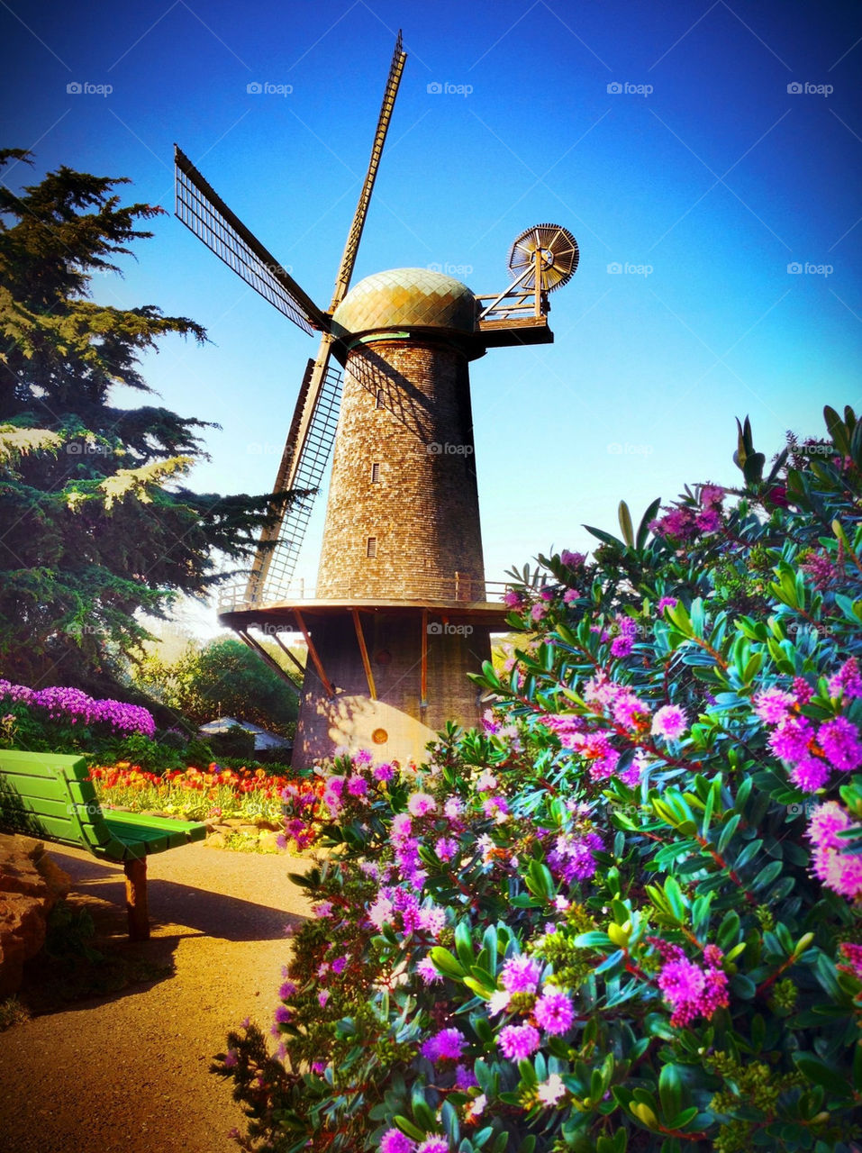 nature colors windmill san by runtographer