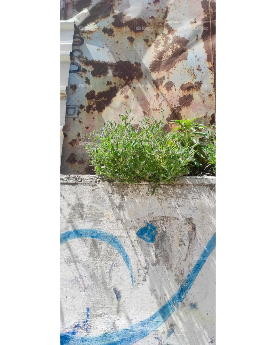 I love green wherever it is