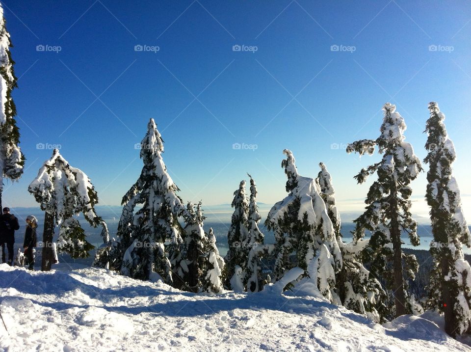 A New Year's Day snowshoe to the top of Hollyburn Mountain.  Amazing  views, blue sky and massive amounts of fresh snow greeted us that day. What a way to start a new year!