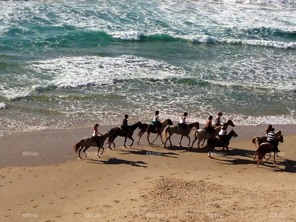Horses#beach#
