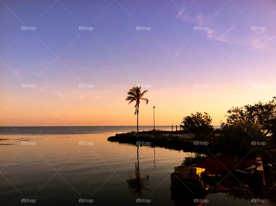 beach sky colors tree by creative_bacon