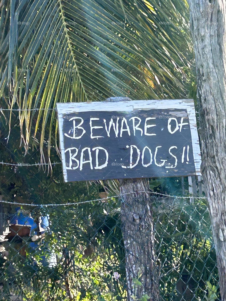 Beware of bad dogs