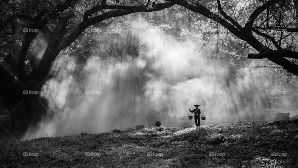 Misty morning. Old lady on a misty morning