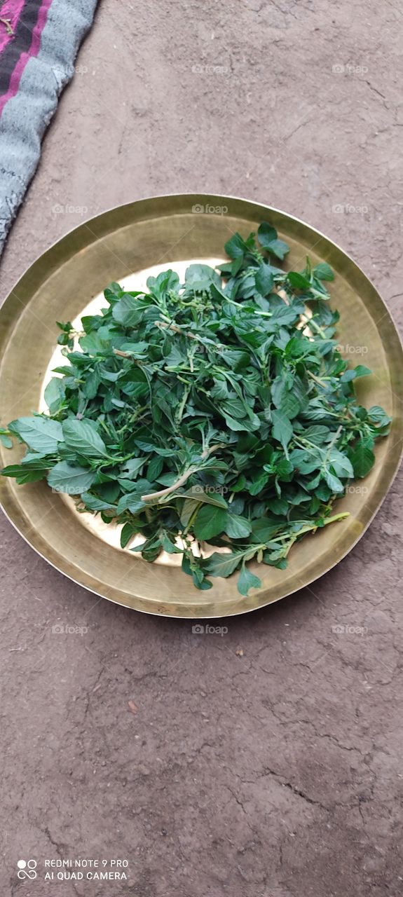 vegetable it is very tasty