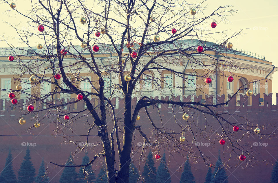 Bright christmas decorations on defoliated tree in Moscow, Russia