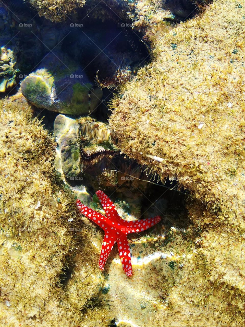 editors Choice photo on the week