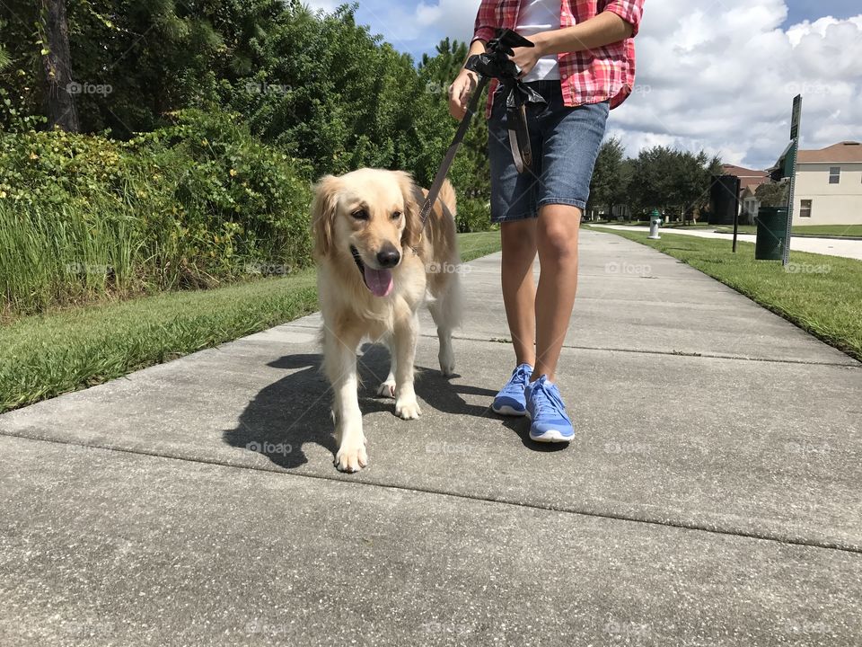 Me and my dog strolling in neighborhood
