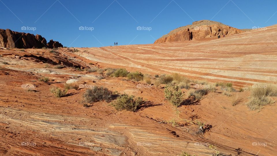 Desert, Arid, Landscape, No Person, Dry