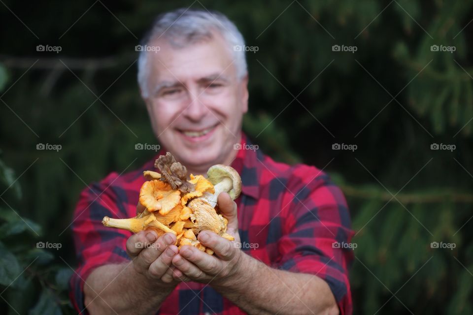 Chanterelles, mushrooms