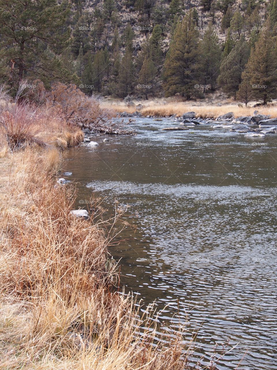 The flowing waters and the banks of the Crooked River through a canyon in Central Oregon. 