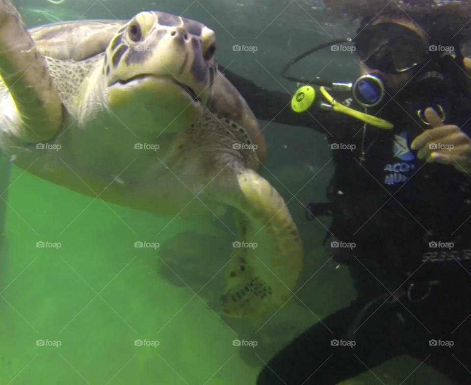 Mergulhador e a tartaruga marinha