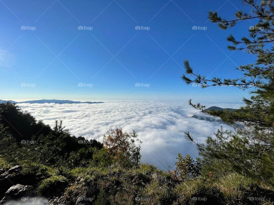 Beautiful mountain and sea of clouds scenery