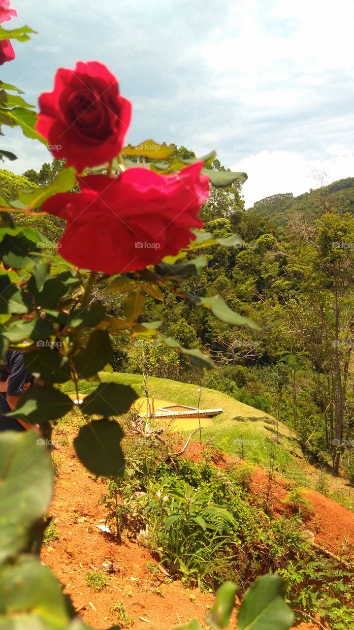 vermelho e azul