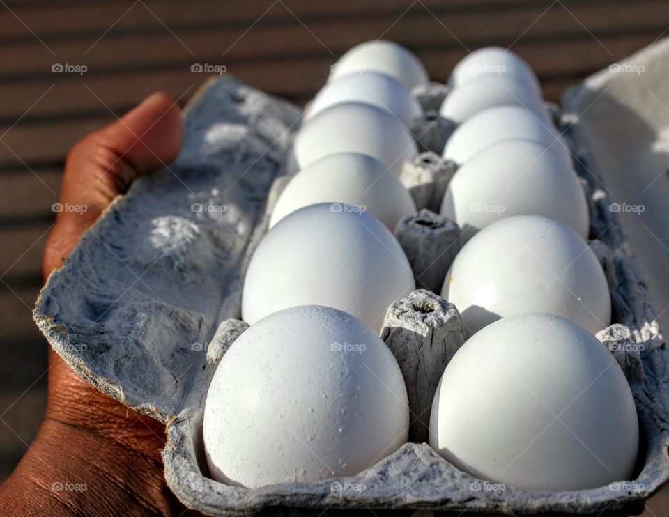 holding a dozen eggs