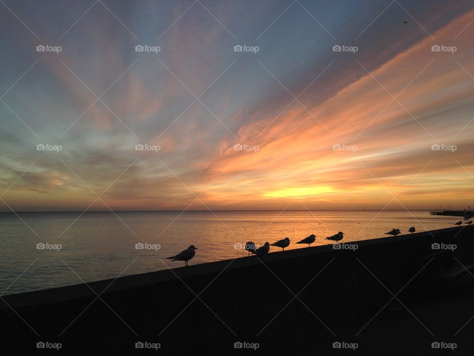 Sunset, Water, Beach, Dawn, Sea