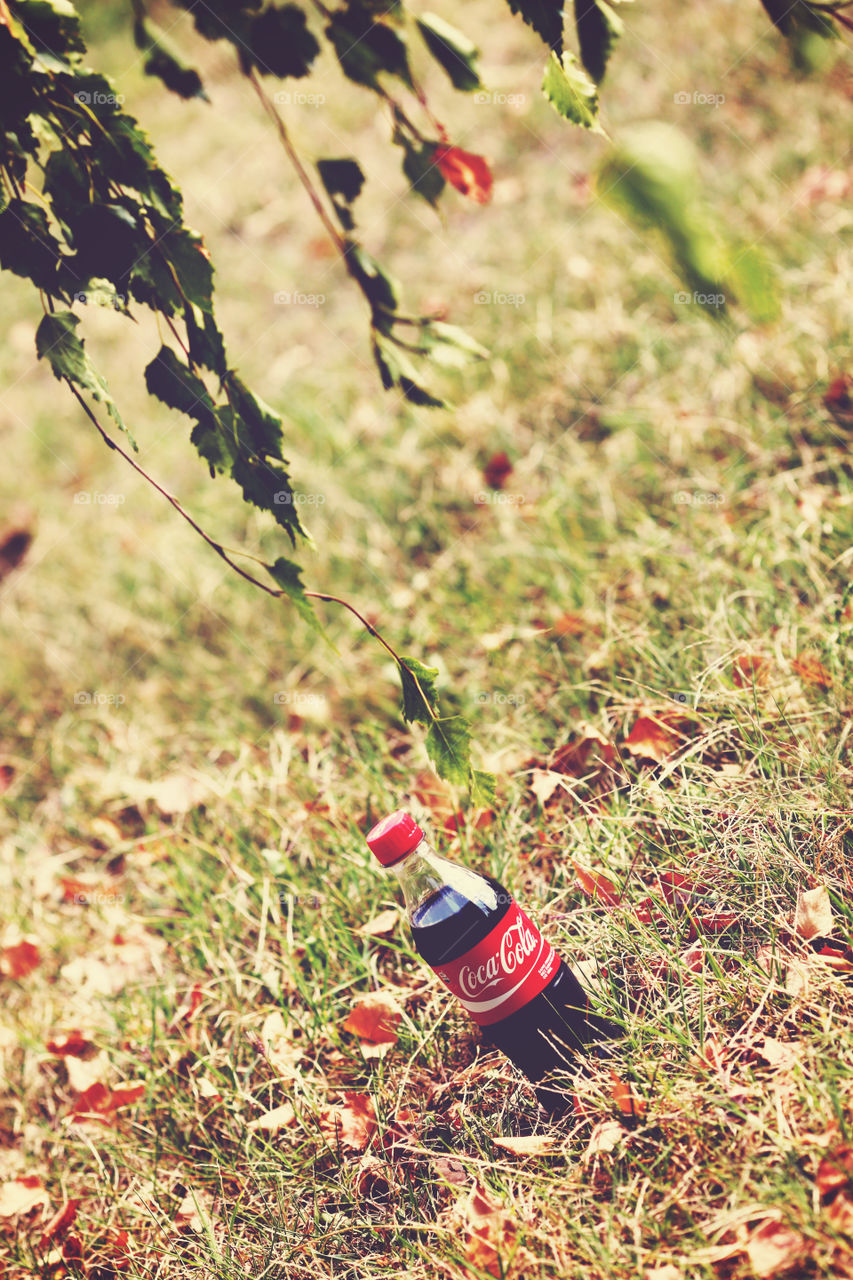 Coca Cola bottle on the ground among autumn leaves