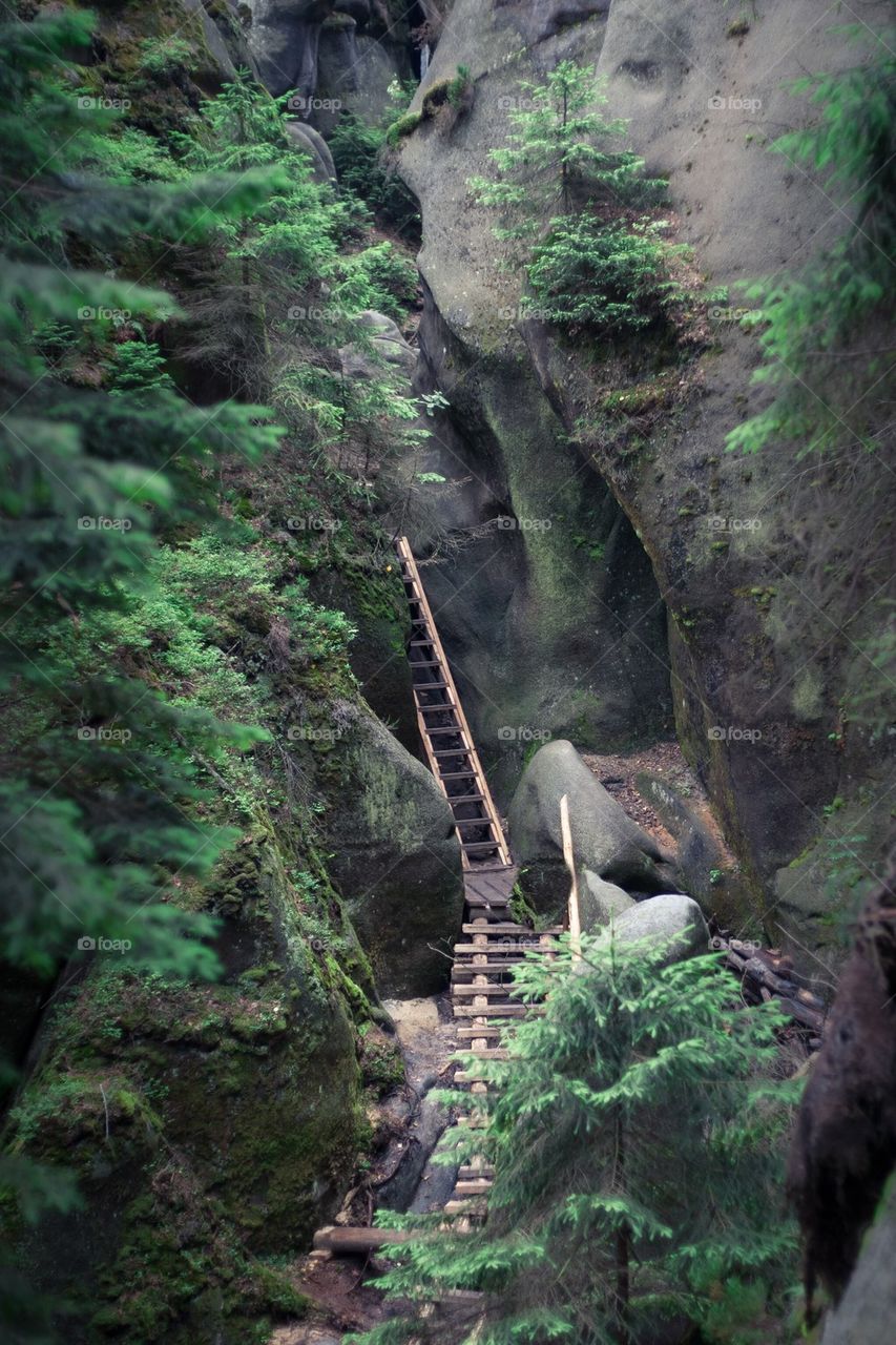 Mountain trail