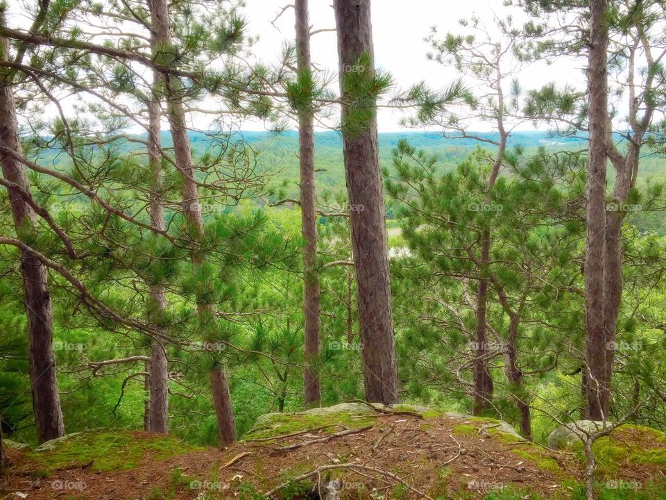 Landscape from the Bluff.. One view from the top of Mill Bluff at Mill Bluff State Park in Wisconsin.