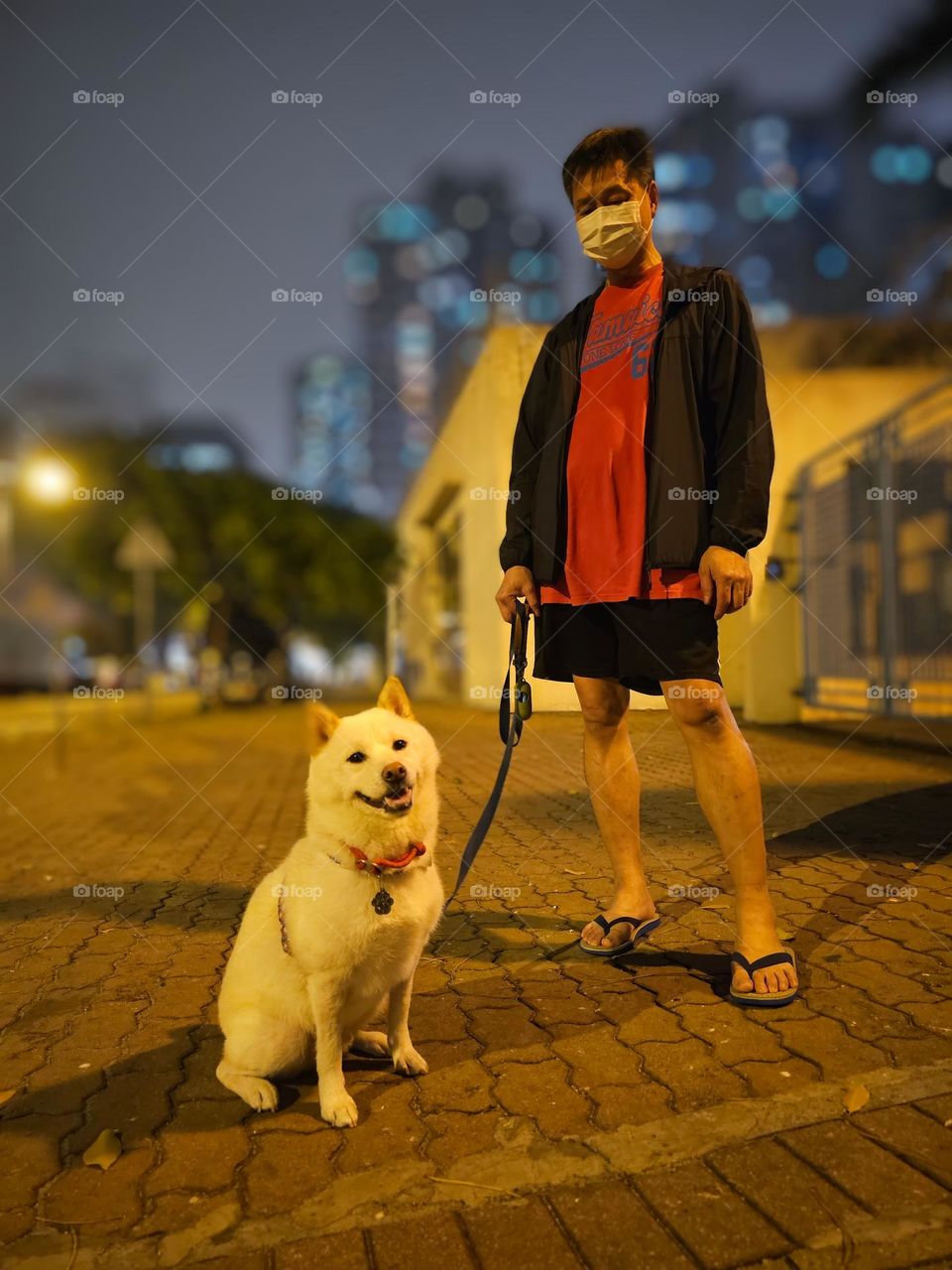 man and white dog night walking in Kowloon Hong Kong