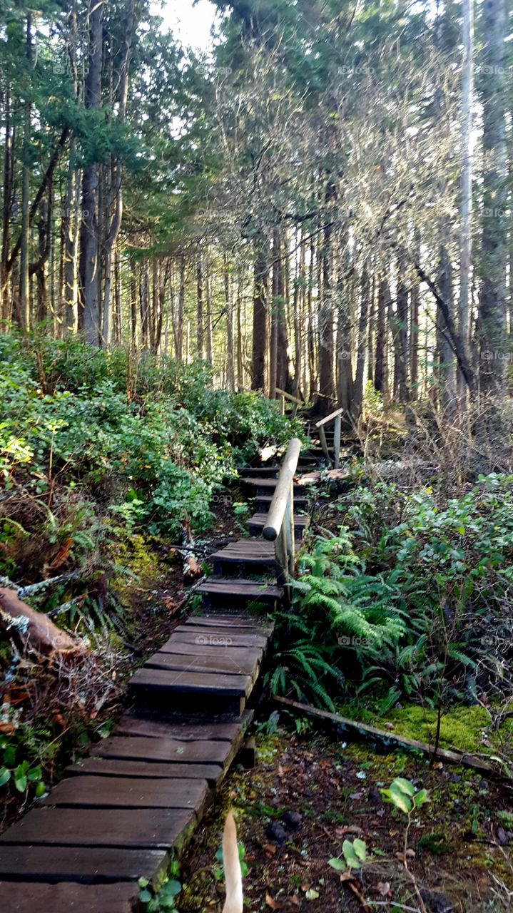 hiking trail