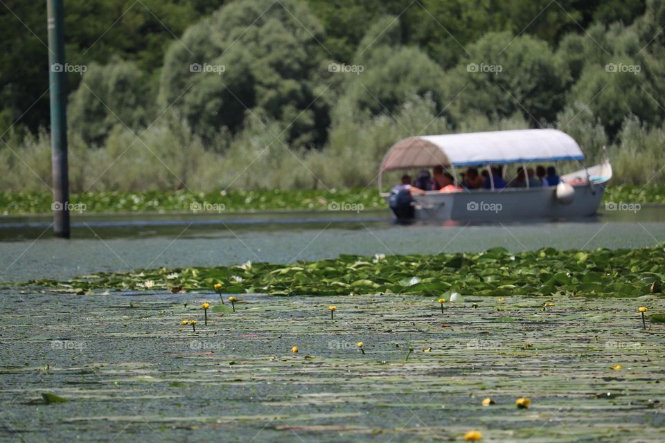 Boat at the lake