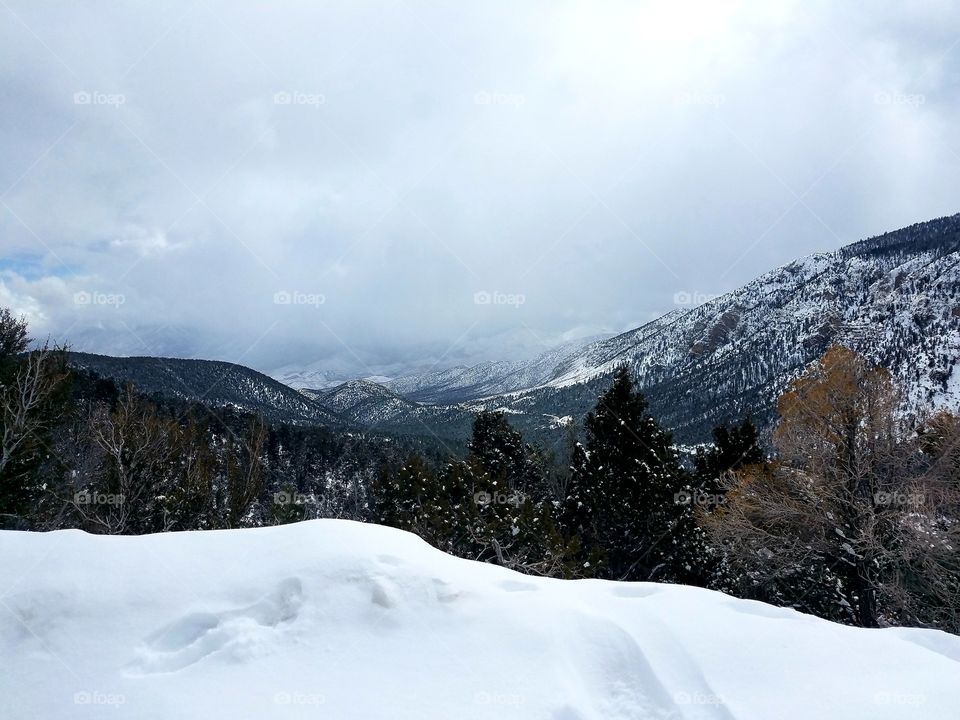 Overlooking Mount Charleston, NV