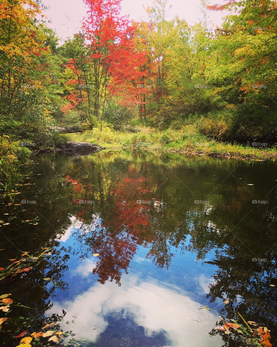 Fall day by the water 