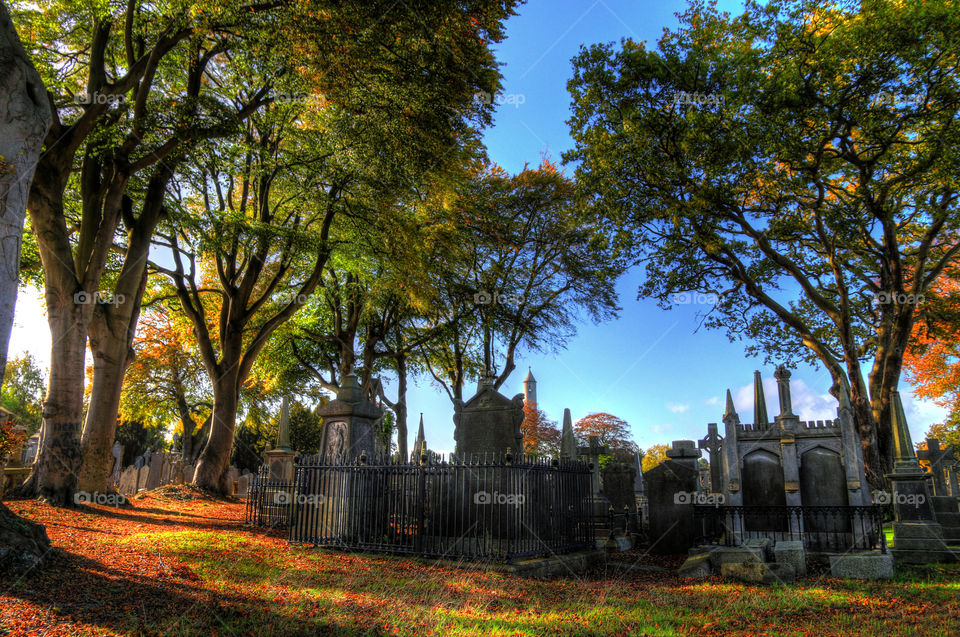Fall at the graveyard