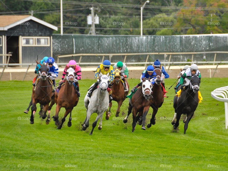 zazzle.com/fleetphoto