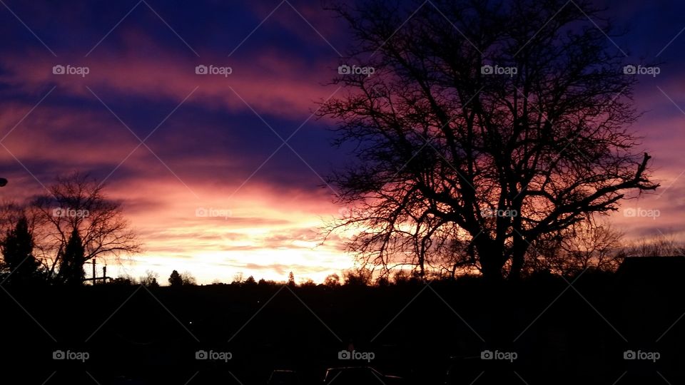 The fire within the sky