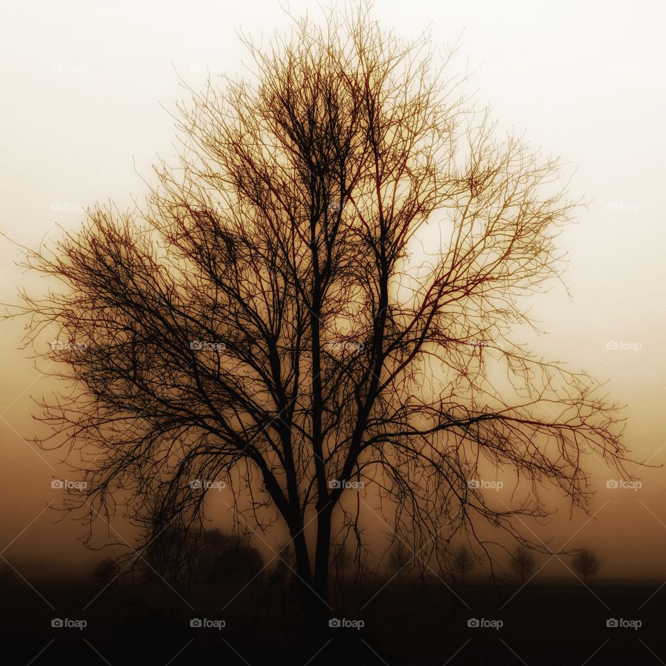 Sunset kicks the day in the behind...Cheerio for now