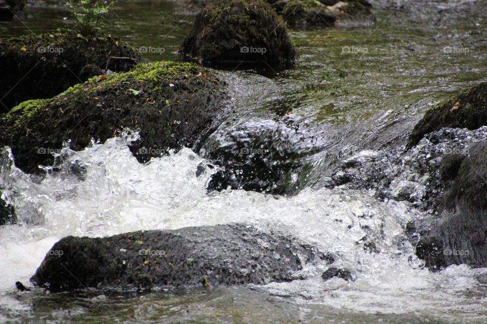 River Bovey