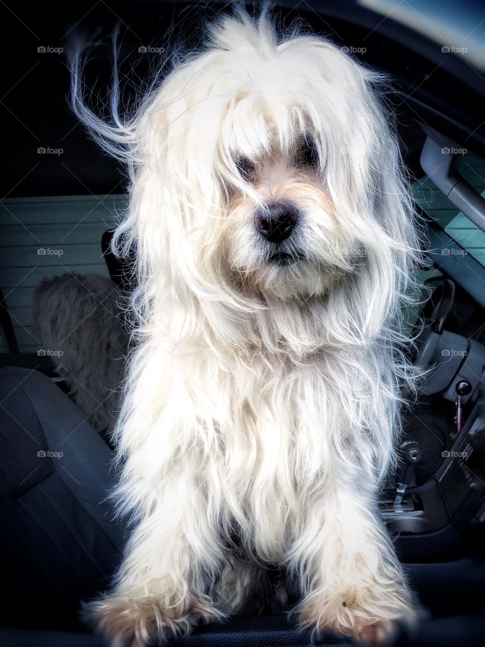 Cesar waiting for a car ride 