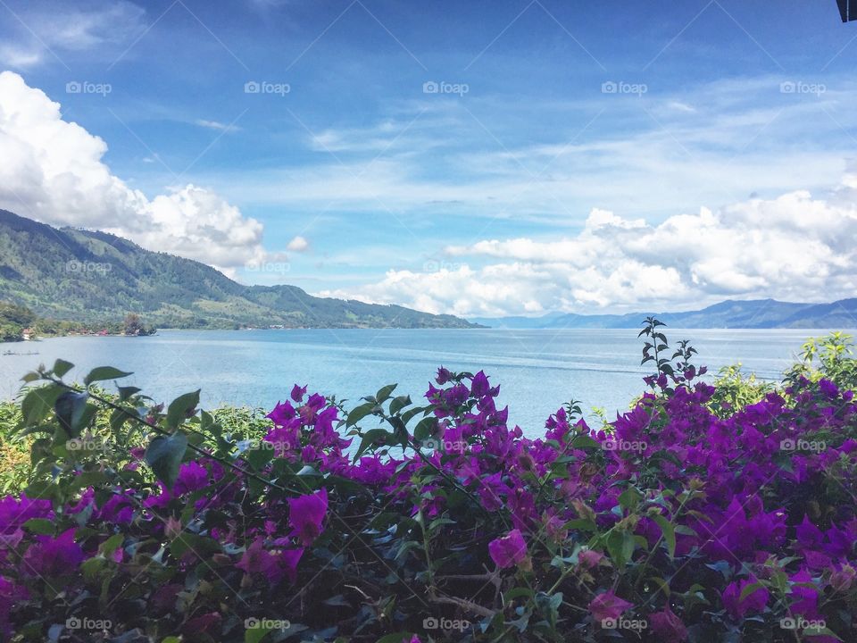 Lake Toba 