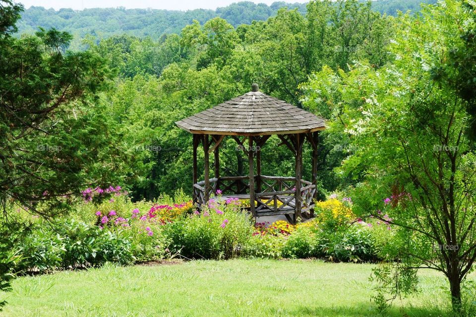 Garden Views