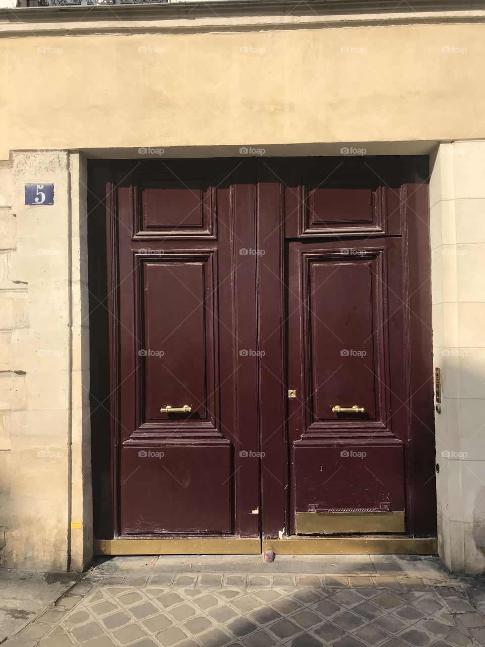 Doors of Paris