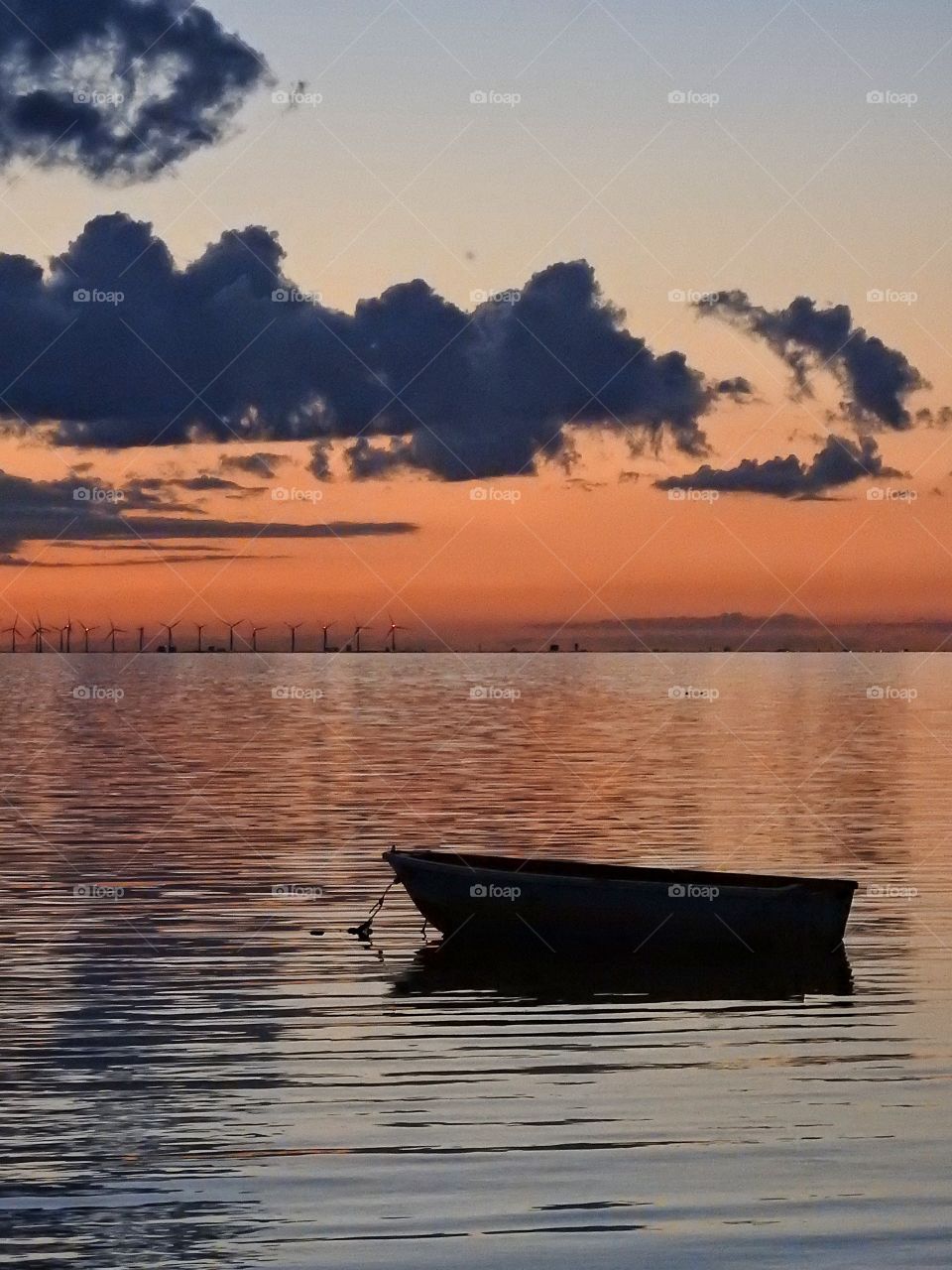 Silhouette of during sunset