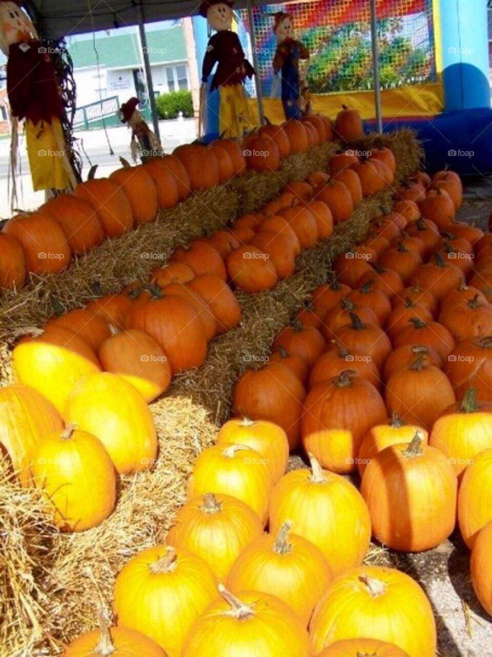 Pumpkins & Straw 