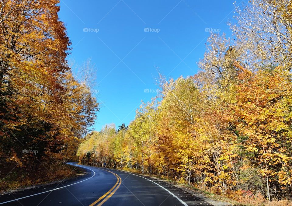 beautiful autumn road