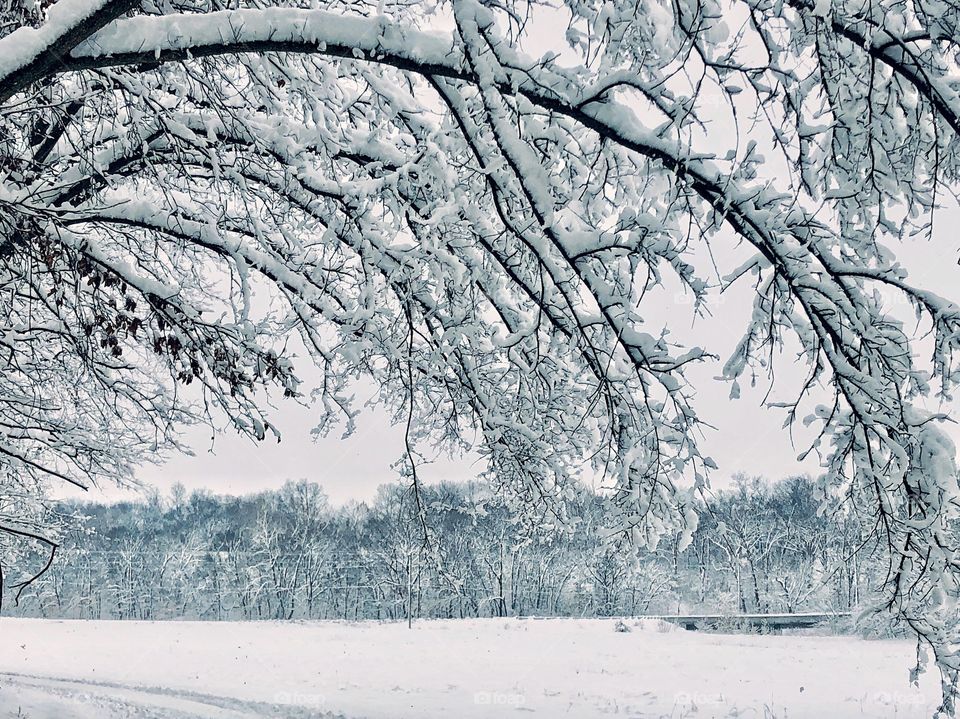 Signs of winter